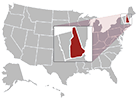 Nashua map